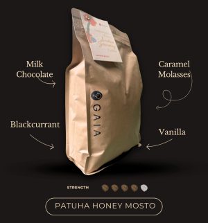 Patuha Honey Mosto 1000gr (Buy 10 Free 1)